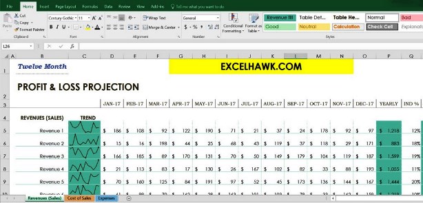 Excel Profit And Loss Template Free from excelhawk.com
