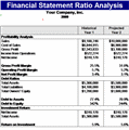 Financial Statement Ratios