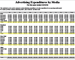 Media Advertising Expenditures