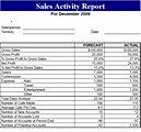Sales Activity Report
